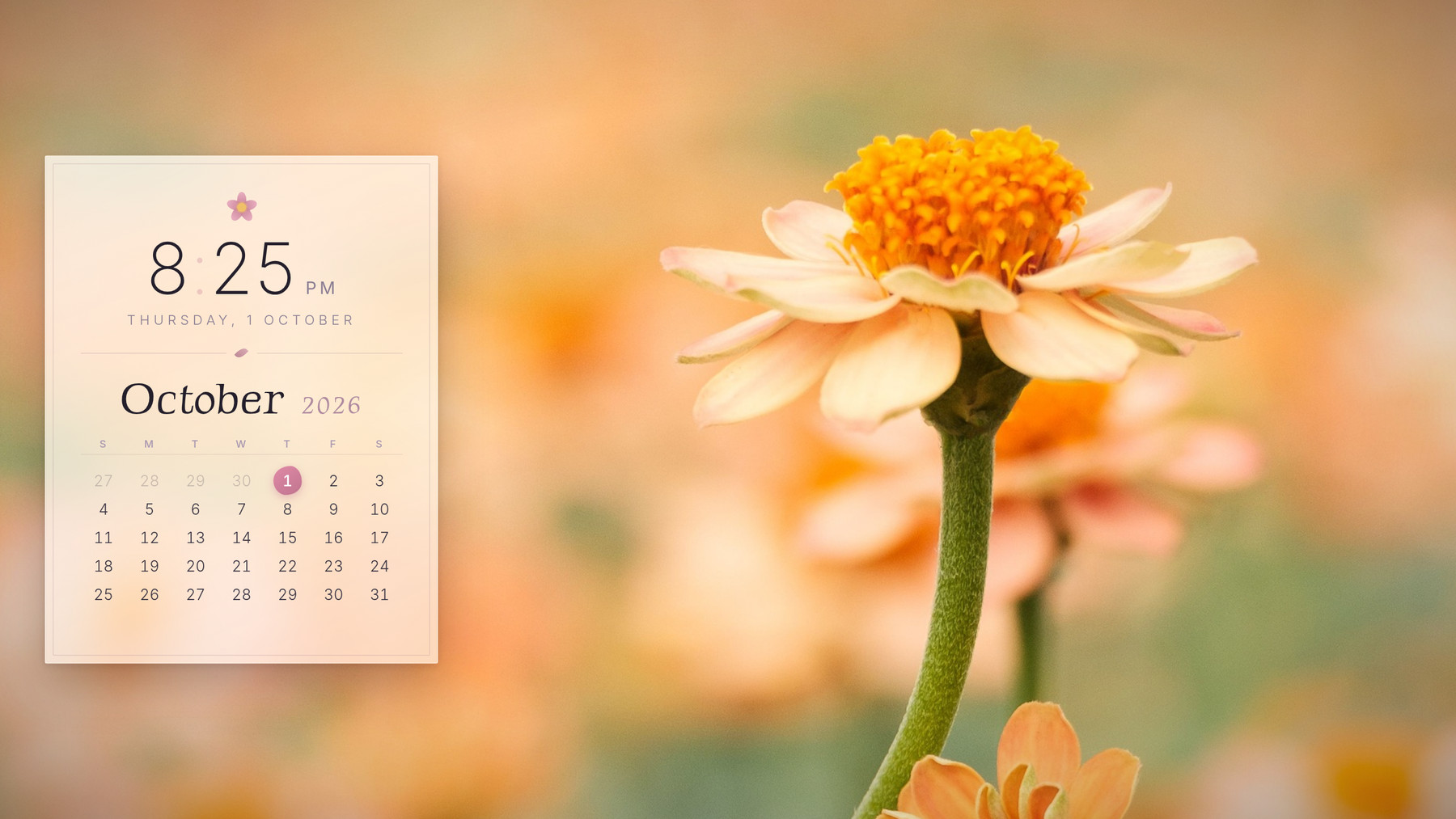 A netPanel calendar screen